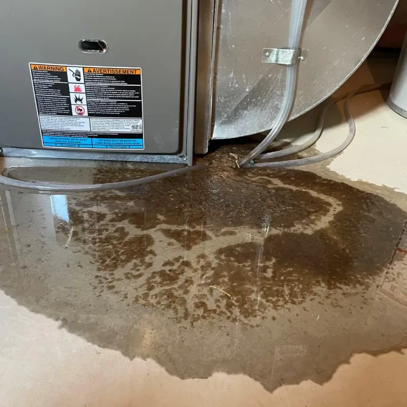 Appliance Leak Cleanup in Fennimore, WI